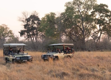 Game Drives
